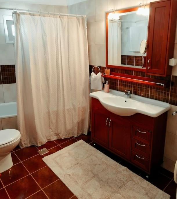 Evaggelia'S Apartments 5 Οικογενειακό Διαμέρισμα Кожани Екстериор снимка